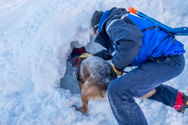 Dijete u Francuskoj zatrpala lavina, nakon sat vremena spasio ga pas