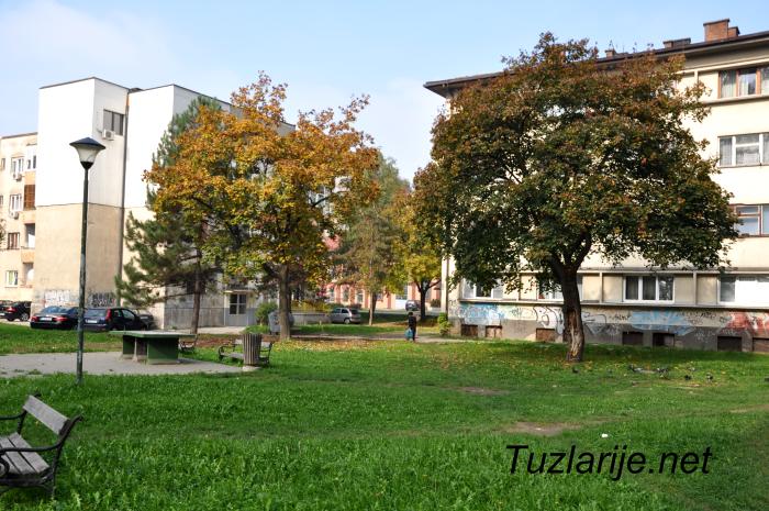 Tuzlarije