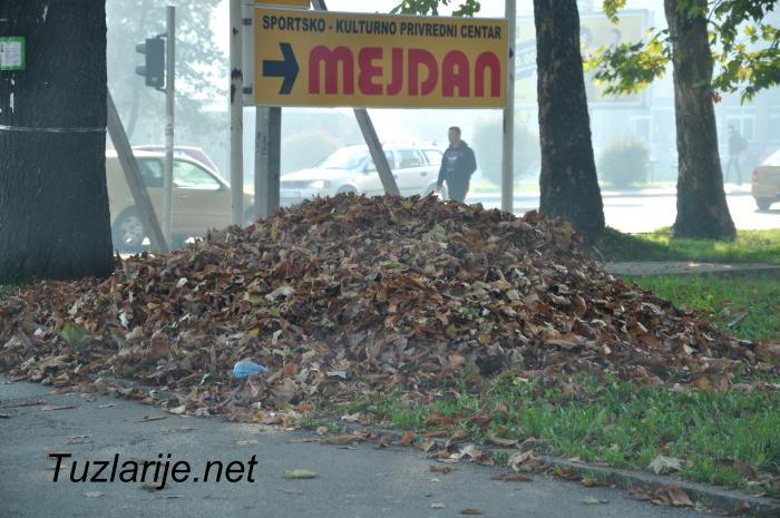 Tuzlarije