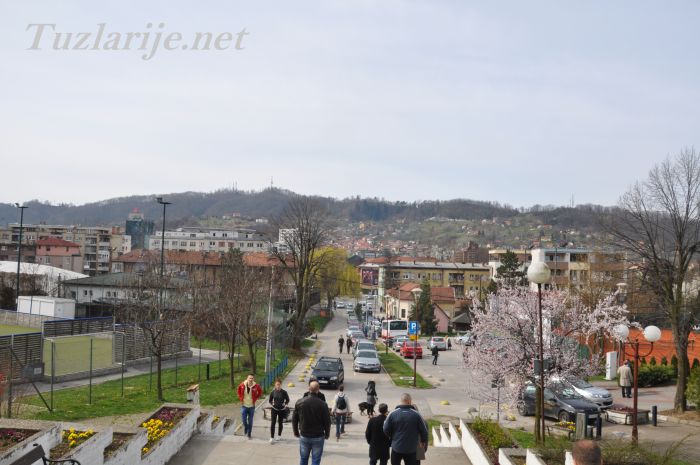 Tuzlarije