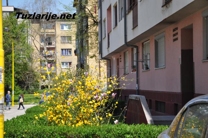 Tuzlarije