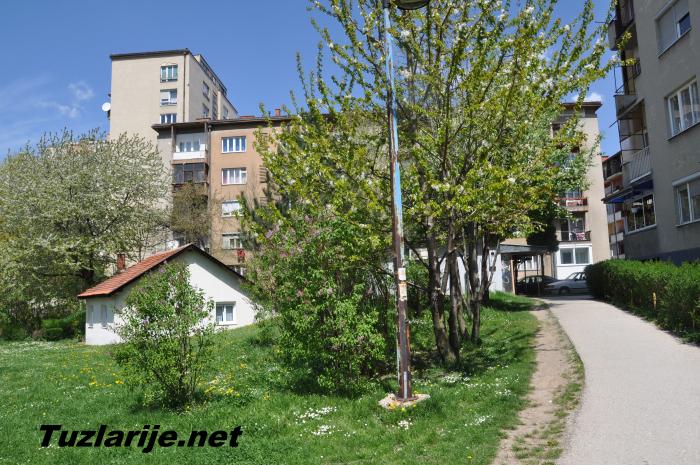 Tuzlarije
