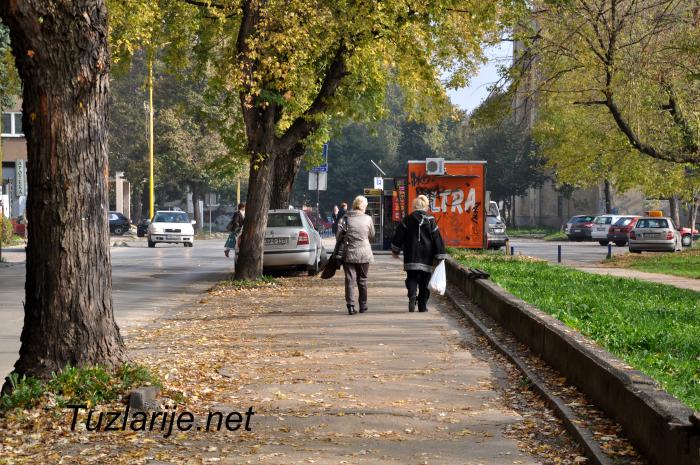 Tuzlarije