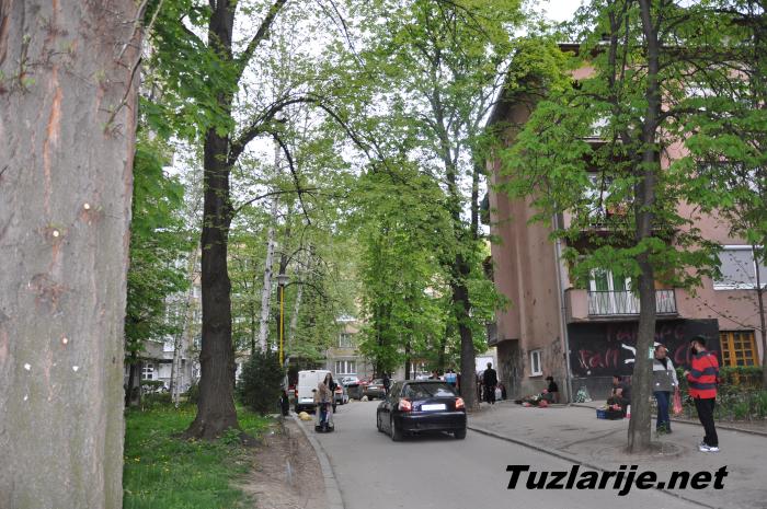 Tuzlarije