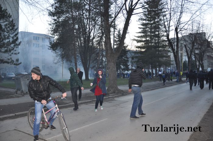 Tuzlarije