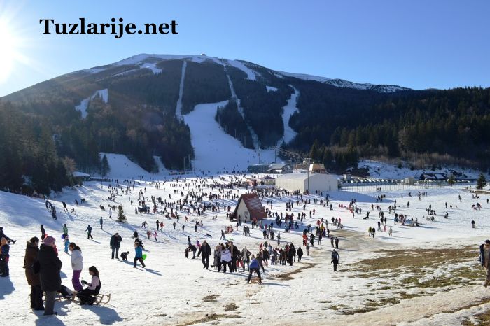 Tuzlarije