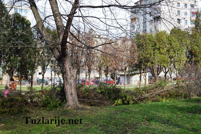 Tuzlarije