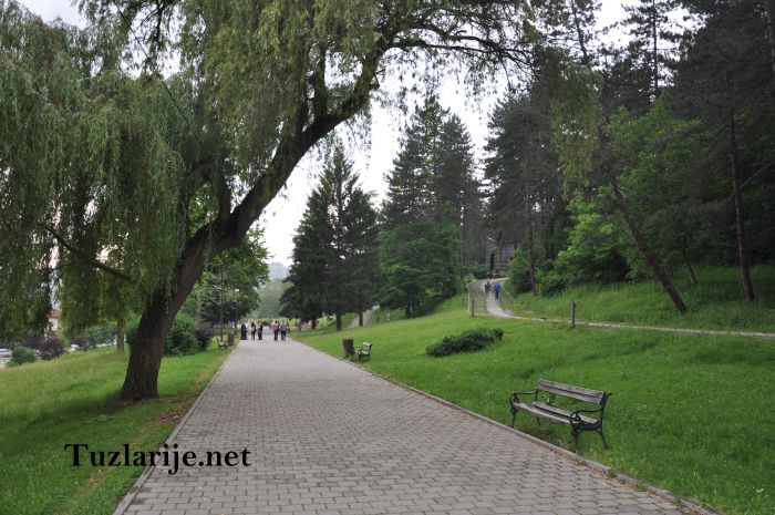 Tuzlarije
