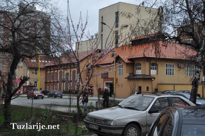 Tuzlarije