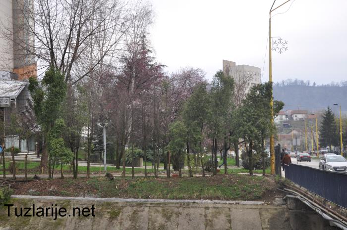 Tuzlarije