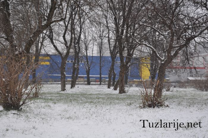 Tuzlarije