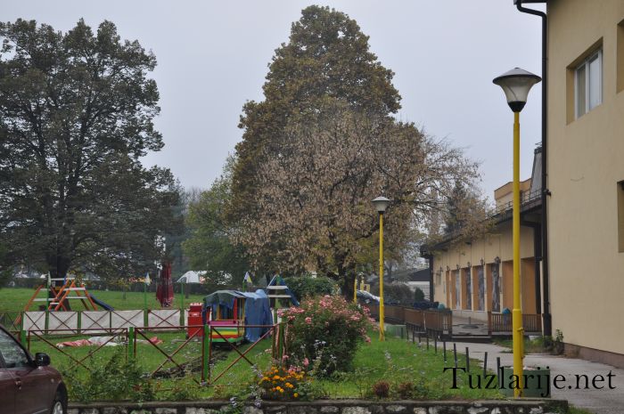 Tuzlarije