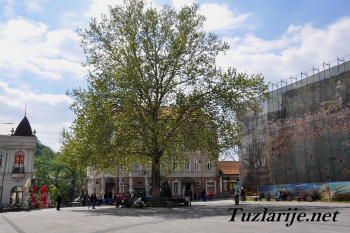 Tuzlarije