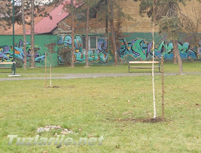 Tuzlarije