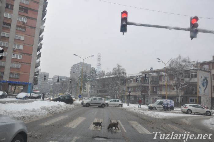 Tuzlarije