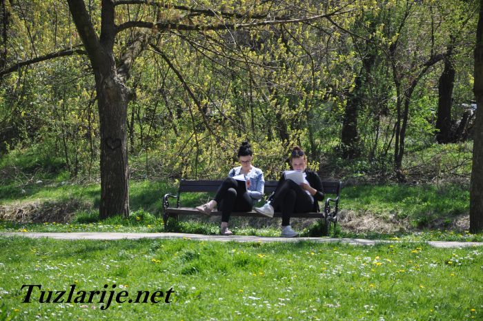 Tuzlarije