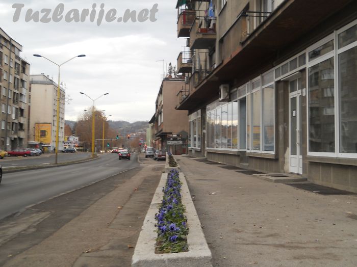 Tuzlarije