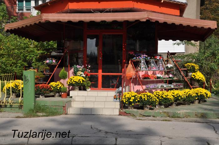 Tuzlarije