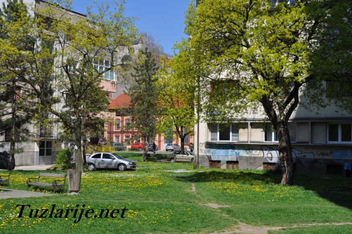 Tuzlarije