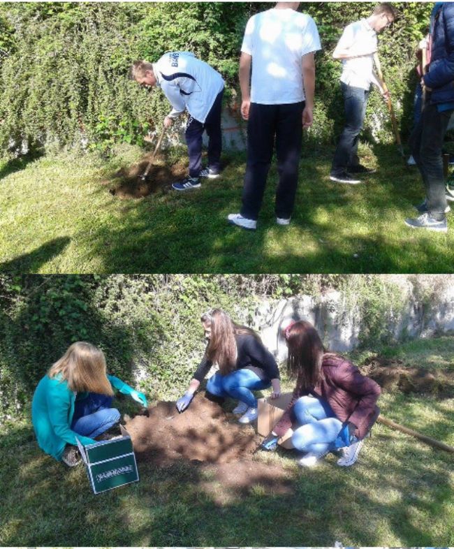 Tuzlarije