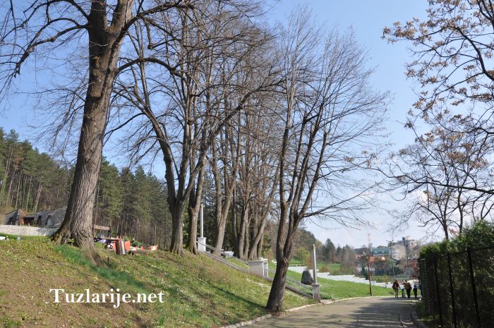 Tuzlarije