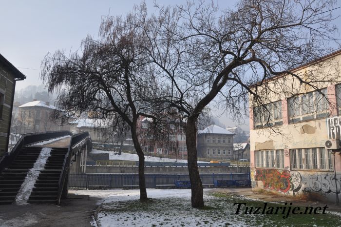 Tuzlarije