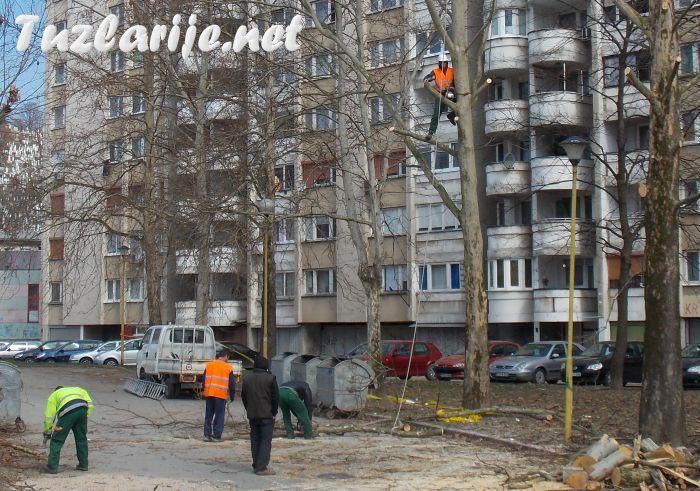 Tuzlarije