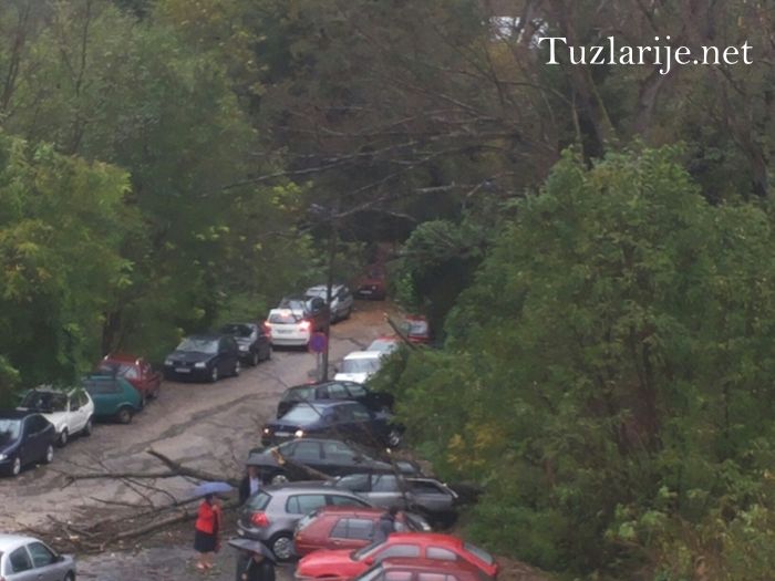 Tuzlarije