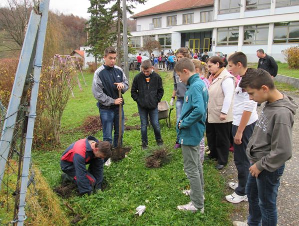 Tuzlarije