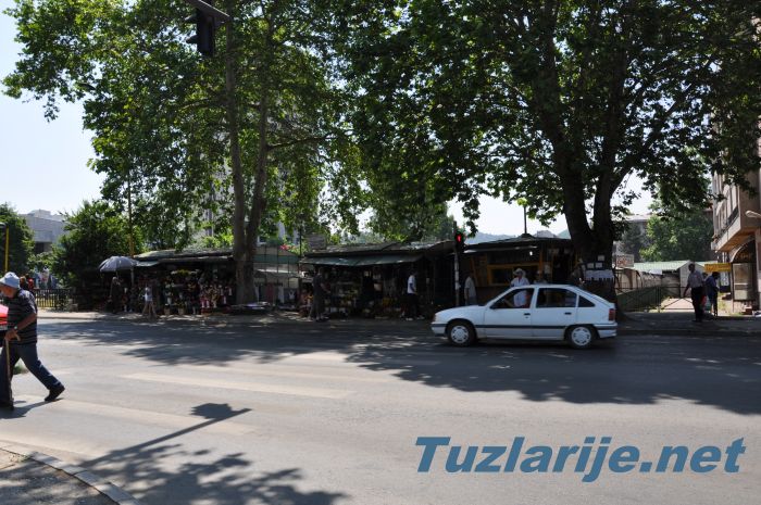Tuzlarije