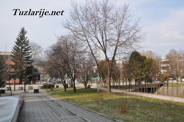 Tuzlarije