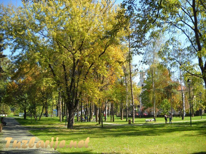 Tuzlarije