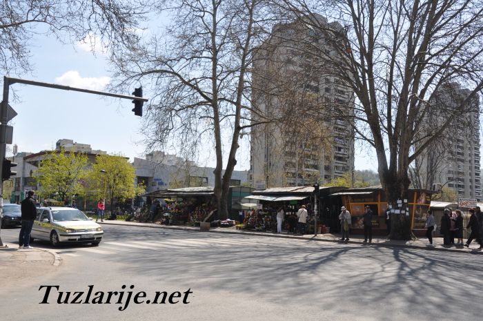 Tuzlarije