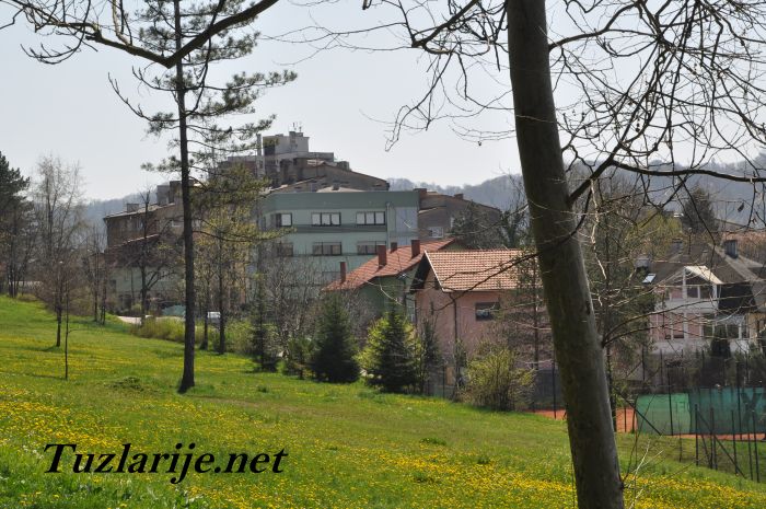 Tuzlarije