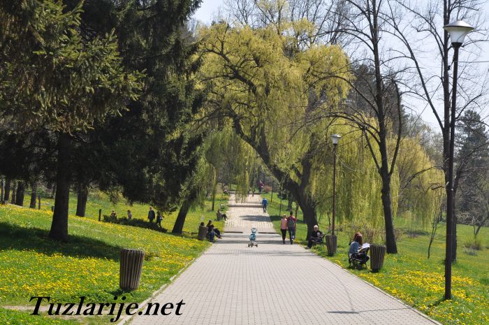 Tuzlarije