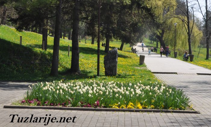 Tuzlarije