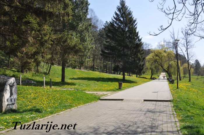 Tuzlarije