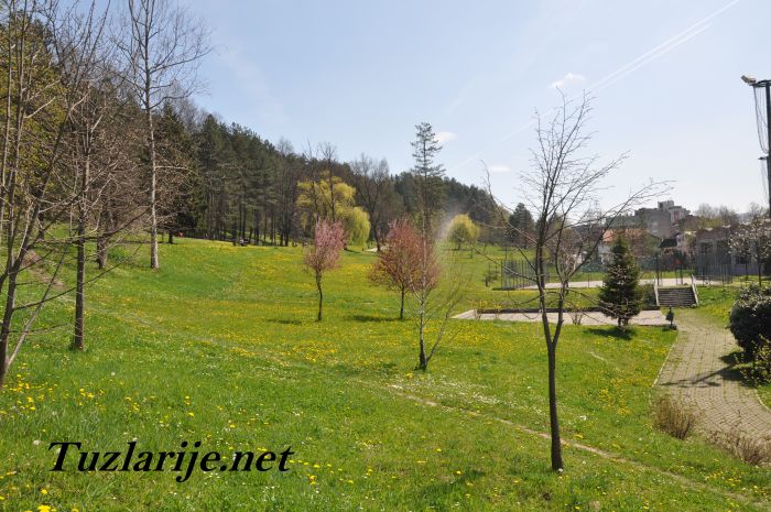 Tuzlarije