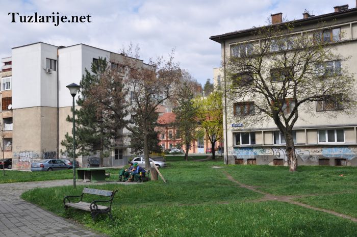 Tuzlarije