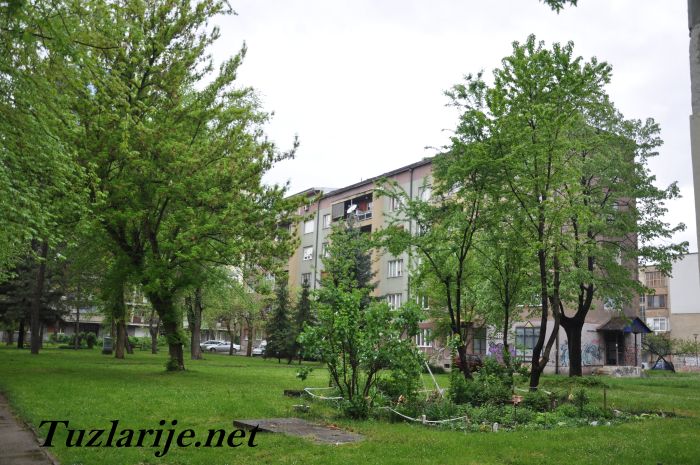 Tuzlarije