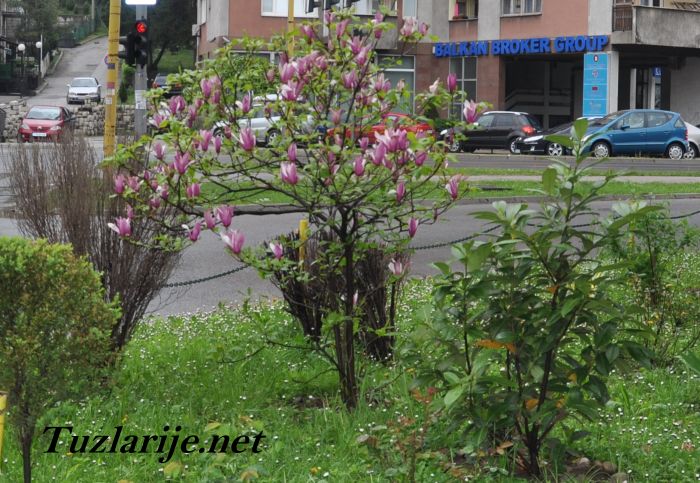 Tuzlarije