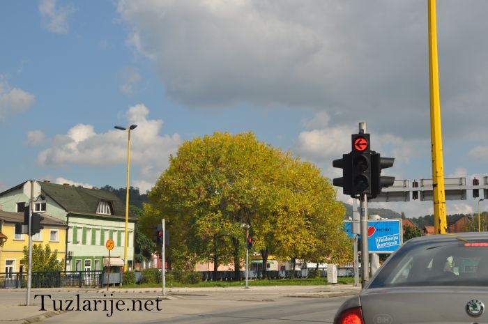 Tuzlarije