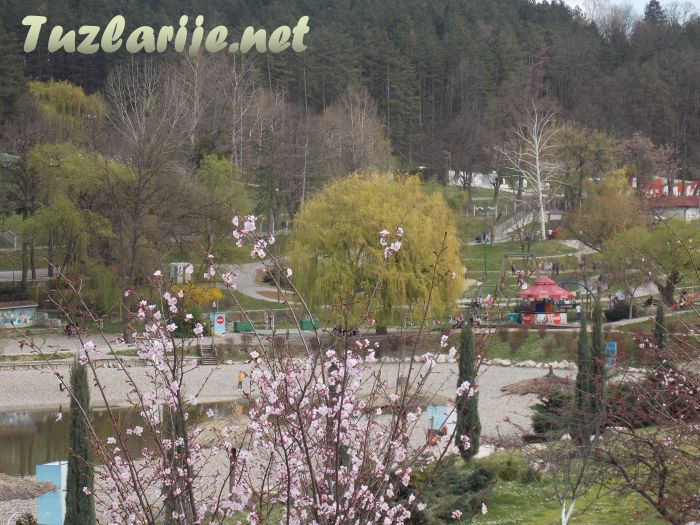 Tuzlarije
