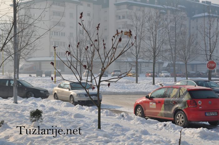 Tuzlarije
