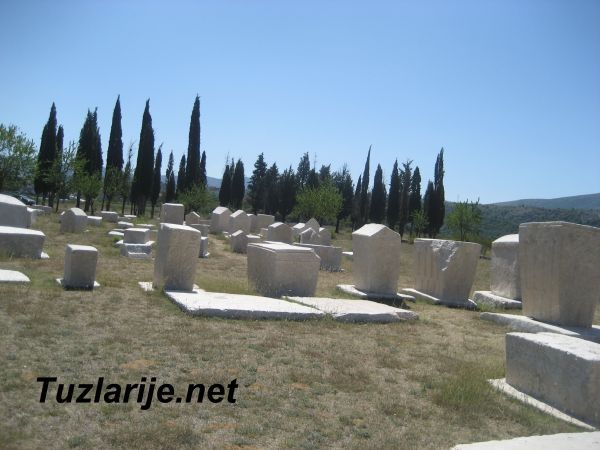 Tuzlarije