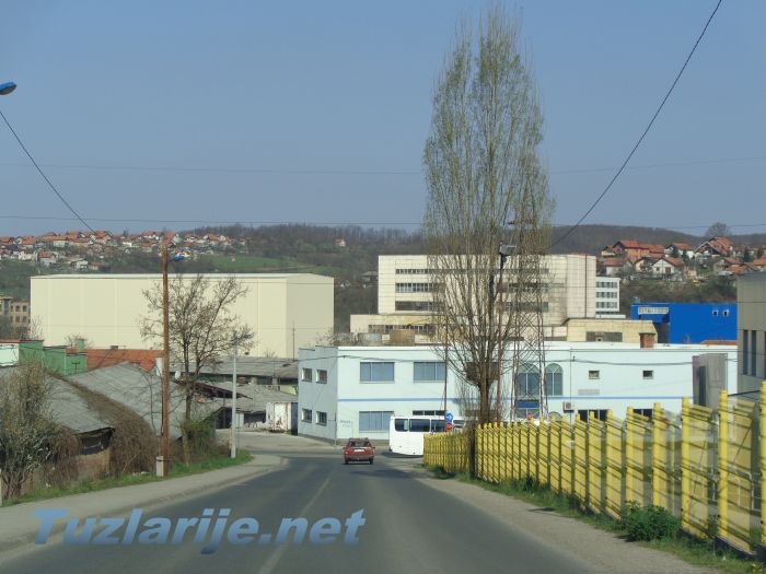 Tuzlarije