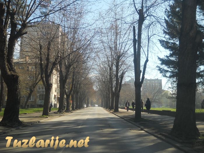 Tuzlarije