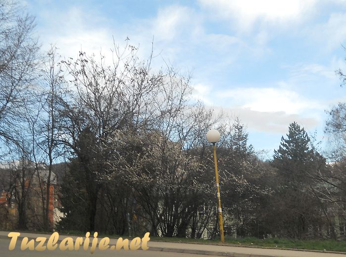 Tuzlarije