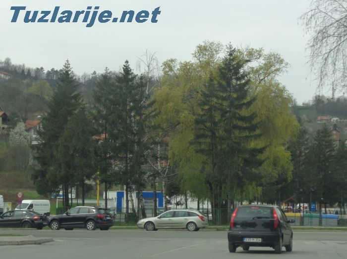 Tuzlarije