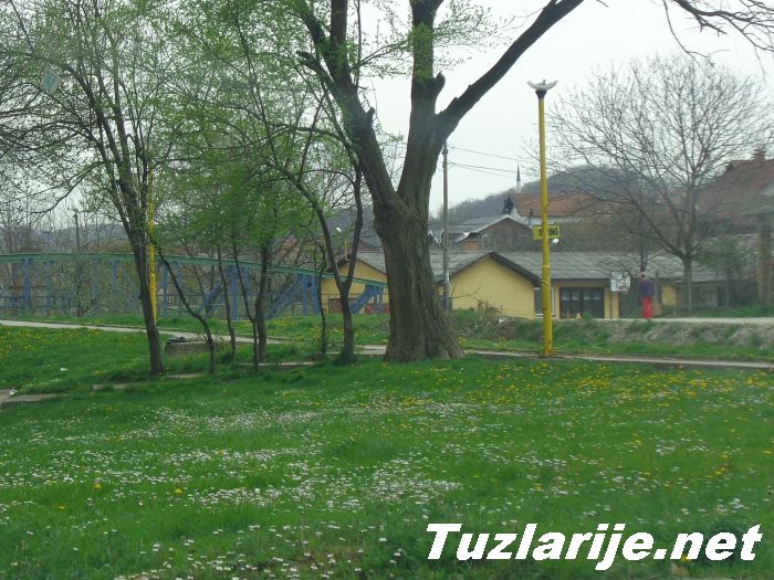 Tuzlarije